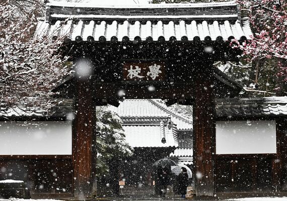 朝から降雪が見られた足利市内。足利学校の学校門や寒紅梅も白く雪化粧し、風情を醸し出した＝10日午後１時35分、同市昌平町