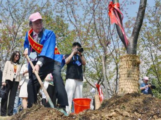 2025年3月、桜の木を植樹する日中共同建設桜友誼林保存協会の新発田豊会長=中国江蘇省無錫市(共同)