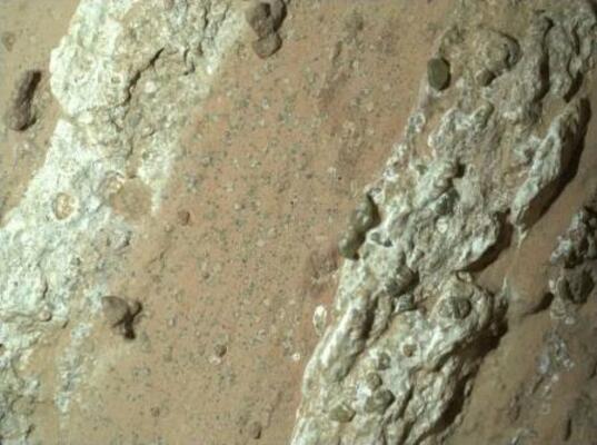 　火星探査車パーシビアランスが撮影した岩石。中央付近にヒョウ柄のような斑点が見える（ＮＡＳＡなど提供・共同）