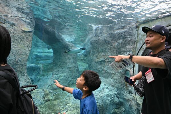 ペンギンが泳ぐ水中トンネルを見学する親子ら＝３日午前、北海道旭川市