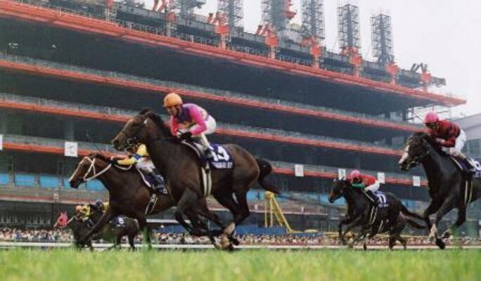 2004年の安田記念を制したツルマルボーイ(14)=東京競馬場