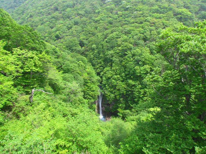 観瀑台から見た駒止の滝