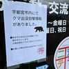 宇都宮の市街地にクマ出没　「早く捕まって」市民不安　イベント中止や対策グッズ購入急増も