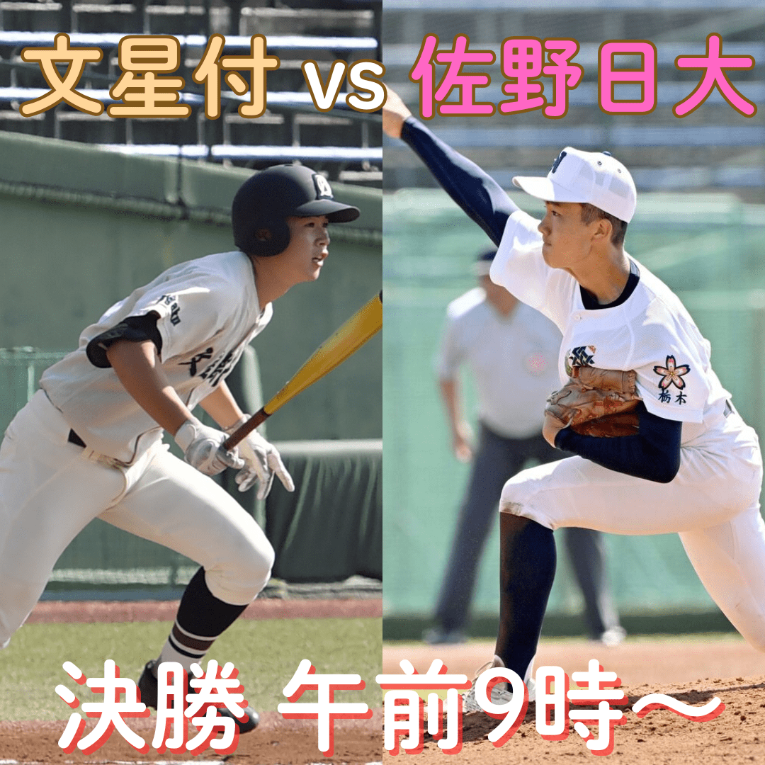 秋季栃木県高校野球決勝 文星付VS佐野日大 両校とも打線好調、控え投手