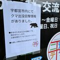 宇都宮の市街地にクマ出没　「早く捕まって」市民不安　イベント中止や対策グッズ購入急増も