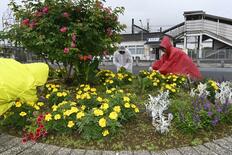 季節季節を華やかに　