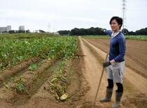 【夏の長期化】社会が変容「常識通じぬ」