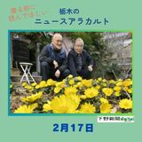 2月17日の栃木県内ニュース　「大田原・笠石神社でフクジュソウ見頃」など3本をお届けします