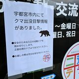 宇都宮の市街地にクマ出没　「早く捕まって」市民不安　イベント中止や対策グッズ購入急増も