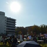 県内気温上昇　佐野で25・５度の夏日　11月以降の最高気温更新