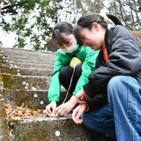 大田原のさくら祭、高校生がイルミ飾り付けに協力 4月19日まで夜桜幻想的にライトアップ