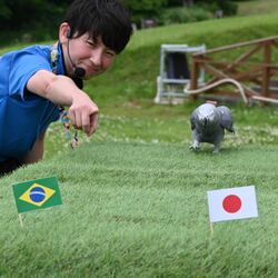 那須どうぶつ王国の占いインコがＷ杯ブラジル戦の勝敗を予想　気になる結果は…