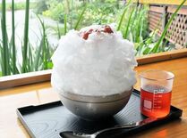 【グルメ探訪】純白で滑らかな舌触り　かき氷　甘味処 菊水苑（佐野）