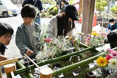 子どもたちが手水舎に生け花　佐野・唐澤山神社で春季大祭