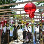 涼やかな音色を境内で　大田原・光丸山法輪寺の風鈴祭り　色とりどり300…