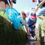 身近な生き物に興味津々　芳賀北小児童が地域住民と調査
