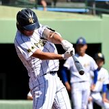第１試合で強豪激突　石橋、守備で粘れるか　秋季県高校野球・準決勝展望