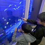 エレベーターで海底から宇宙へ　東武宇都宮百貨店のクリスタルエレベーター　１年９カ月ぶりに照射復活