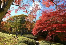 古峯園で紅葉見頃　鹿沼
