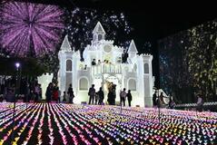 ５００万個超、光の花満開