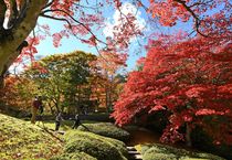古峯園で紅葉見頃　鹿沼