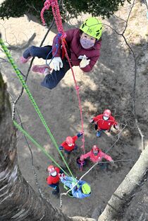 三島神社でツリークライミング　那須塩原