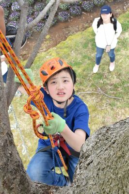 ツリークライミングに挑戦する子ども