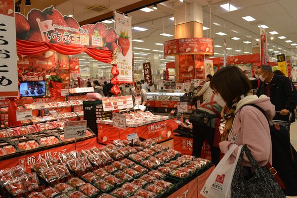 １１日からイオンスタイル佐野新都市で始まった「栃木県フェア」