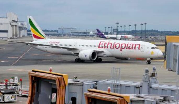 　成田空港に到着した、政府手配のチャーター機＝１０日午前６時３４分