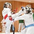 空手県少年錬成大会 男子組手4年・猪越(足利・青空塾)が初の栄冠