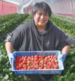 ＜234＞美味しさを生む土壌へのこだわり　JAかみつがの「イチゴ」