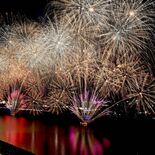 広島の花火大会、来場者なぜ最少　スマホ位置情報で算出　目視から転換、よ…