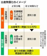 妊婦の経済不安 解消狙う