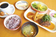 元祖　和風ハンバーグランチ