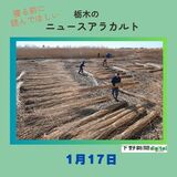 1月17日の栃木県内ニュース　「渡良瀬遊水地のヨシ、出来よし！　恒例のヨシ刈りピーク」など3本をお届けします