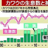 カワウの生息数下げ止まり　アユ捕食対策は長期戦に