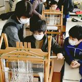 「織姫」に教わってしおり作り　真岡の長沼小で真岡木綿の機織り体験　栽培した綿花寄贈も