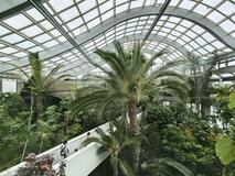 熱帯の植物と魚を展示