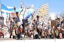 栃木県内最大のよさこい祭り「天狗王国まつり」 大田原