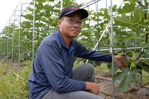 ＜ １５７＞　甘み強く今年は美味　ＪＡ佐野のイチジク
