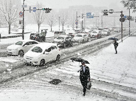 大雪警報が発表された宇都宮市内＝10日午前8時25分、宇都宮市本町