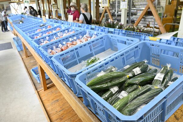 物産センターに並ぶ新鮮な野菜
