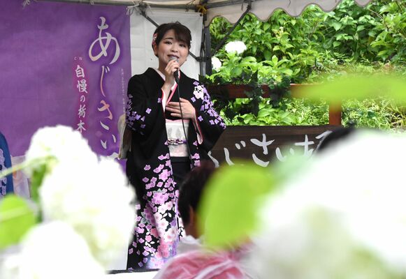 あじさい坂ライブで美しい歌声を披露する平山さん