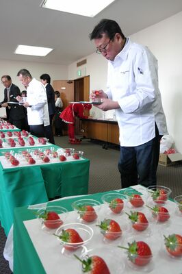 とちあいかを食べて味を見極める審査員＝22日午後、宇都宮市