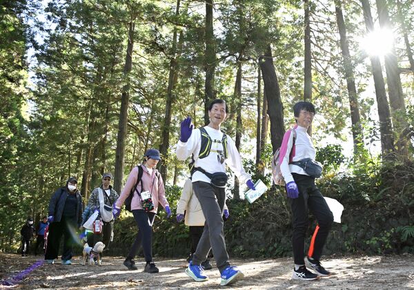 杉並木を歩く参加者＝30日午前11時10分、日光市瀬川