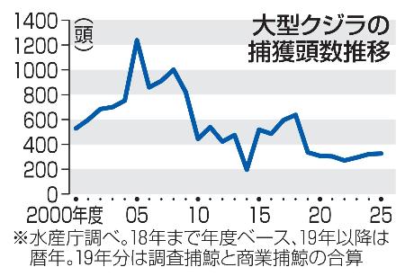 　大型クジラの捕獲頭数推移