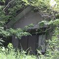 自宅に遺体遺棄疑いの男逮捕 数年経過か、今市署