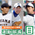 鮮烈に輝くスター 4人の1年生 次に化けるのは誰だ?