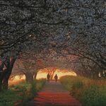 しもつけ写真大賞・最高賞に八重樫さん（宇都宮）、1429点から選出《入賞者一覧》