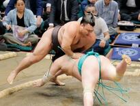 霧島４連勝、琴桜は２勝目